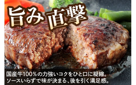 《柏木牧場》国産牛100%ハンバーグ 12個＆卵不使用 アイスクリーム 8個セット｜牛肉 牛 ハンバーグ アイス アイスクリーム  [1383]